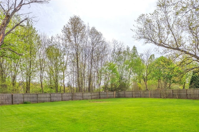 view of yard with a fenced backyard