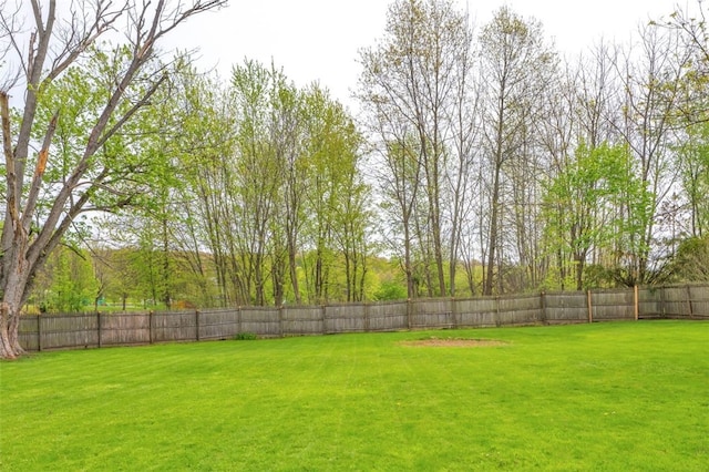 view of yard with a fenced backyard