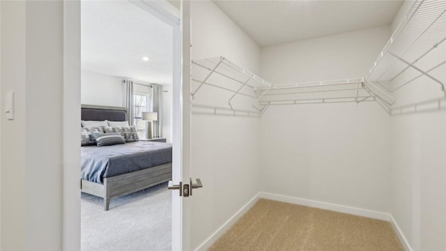 410 Barons Ct, Peters Twp, PA 15367 - spacious closet with light carpet