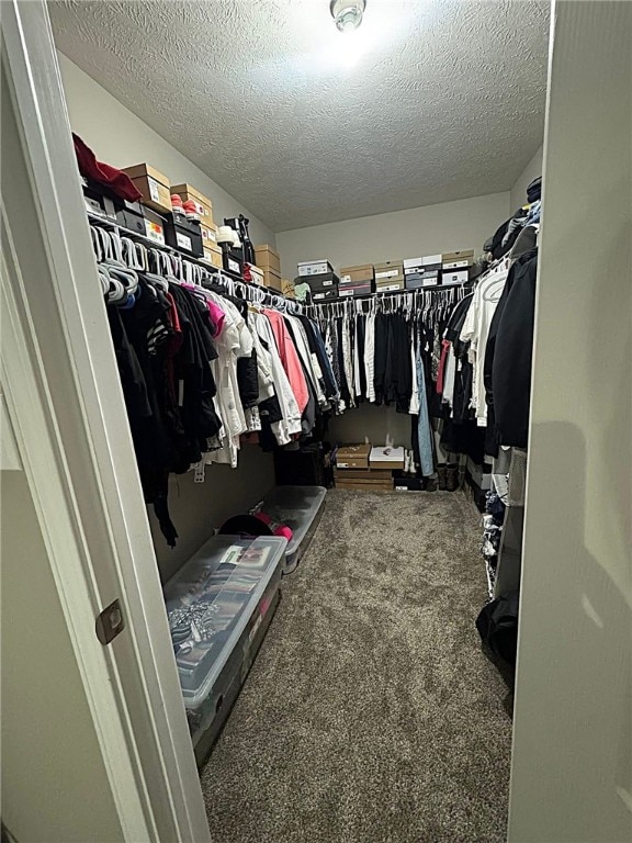 spacious closet with carpet flooring