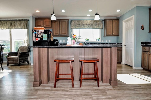 kitchen with a healthy amount of sunlight, ornamental molding, and freestanding refrigerator