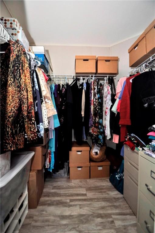 walk in closet with light wood-type flooring