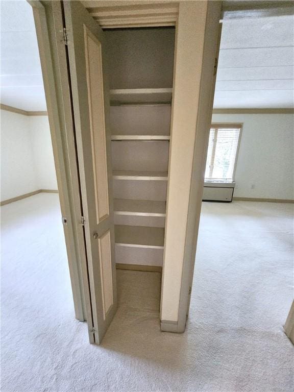 820 E Beau St Unit 2J, South Strabane, PA 15301 - view of closet