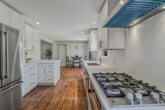 1202 Oakridge Rd, South Fayette, PA 15057 - kitchen with appliances with stainless steel finishes, ventilation hood, a sink, wood finished floors, and light countertops