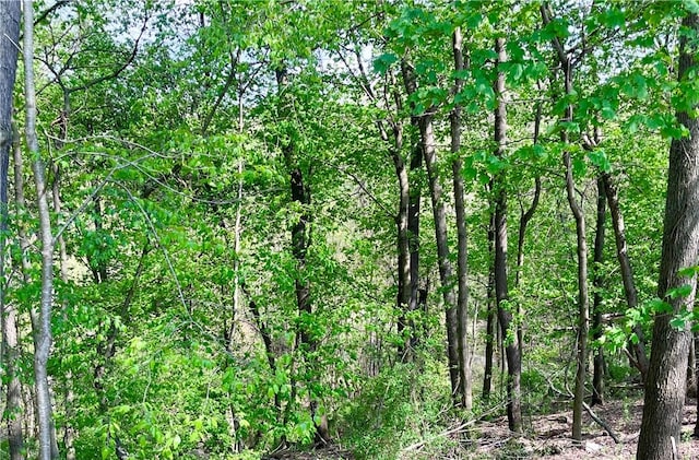 view of local wilderness featuring a view of trees