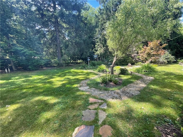 171 Mohawk Trl, Slippery Rock Twp But, PA 16057 - view of yard with a wooded view