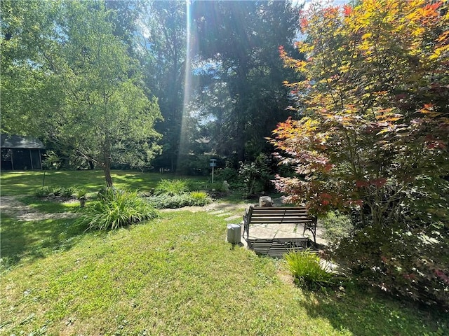 171 Mohawk Trl, Slippery Rock Twp But, PA 16057 - view of yard