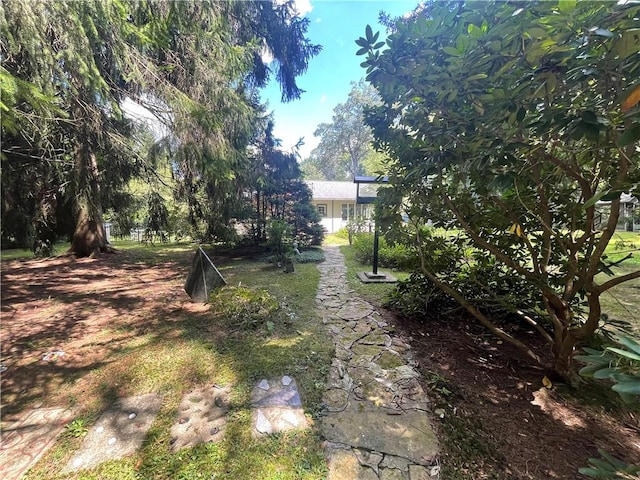 171 Mohawk Trl, Slippery Rock Twp But, PA 16057 - view of yard