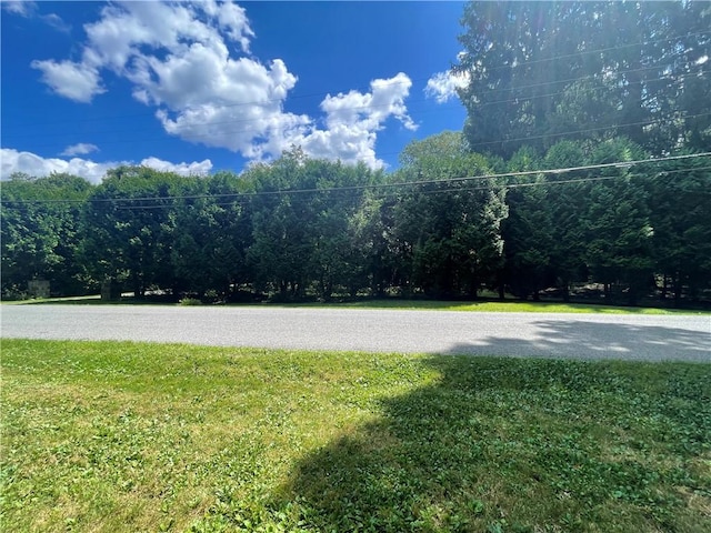 171 Mohawk Trl, Slippery Rock Twp But, PA 16057 - view of yard
