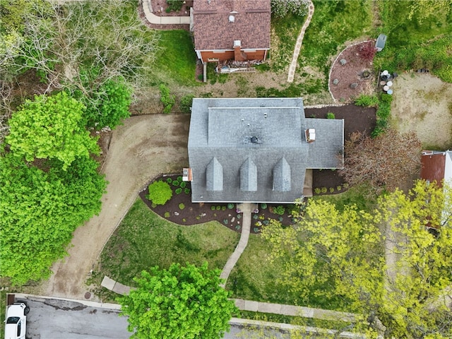 drone / aerial view