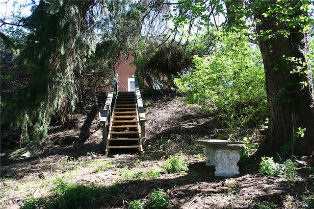 view of yard with stairway