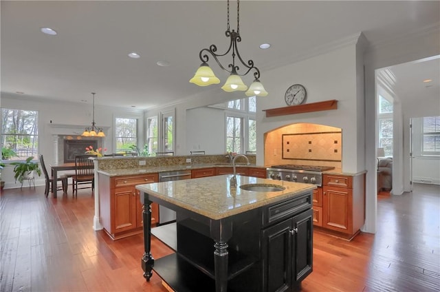 kitchen with open shelves, a sink, stainless steel appliances, wood finished floors, and tasteful backsplash