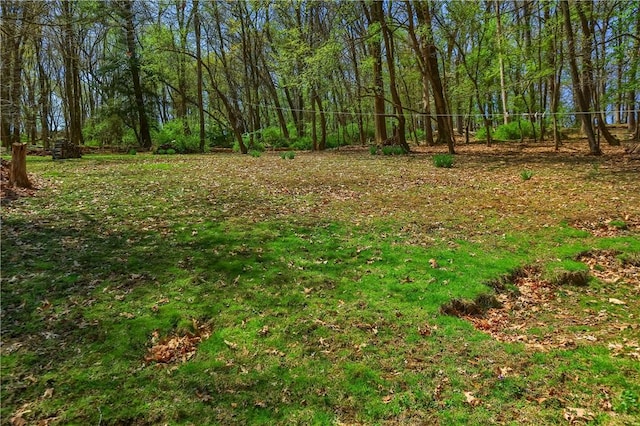 view of yard with a view of trees