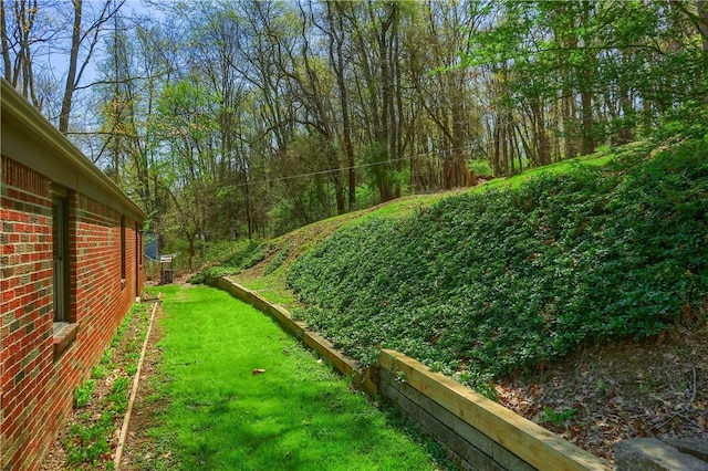 view of yard