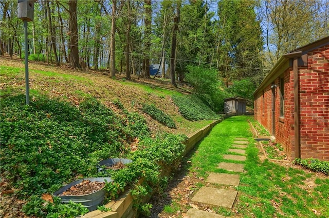 view of yard with an outbuilding and a storage unit