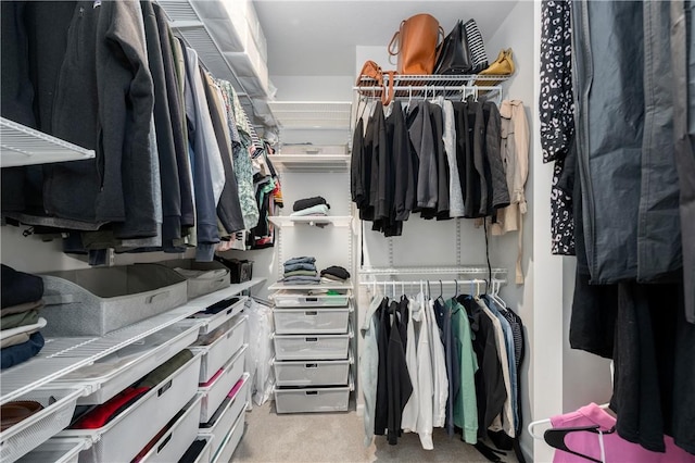 walk in closet featuring carpet floors