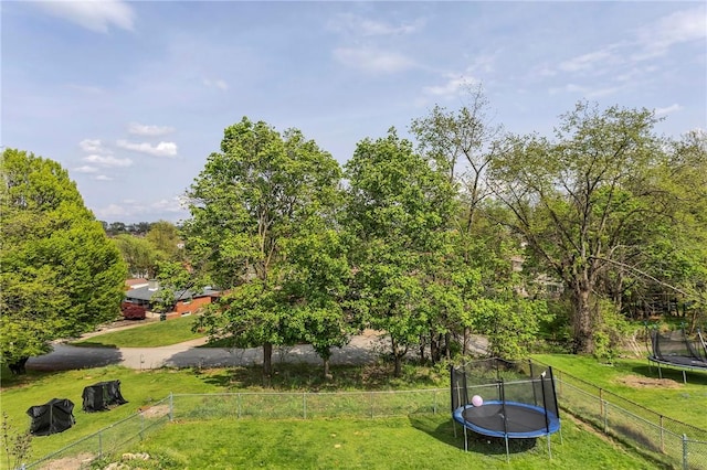 view of home's community featuring a yard, a fenced backyard, and a trampoline