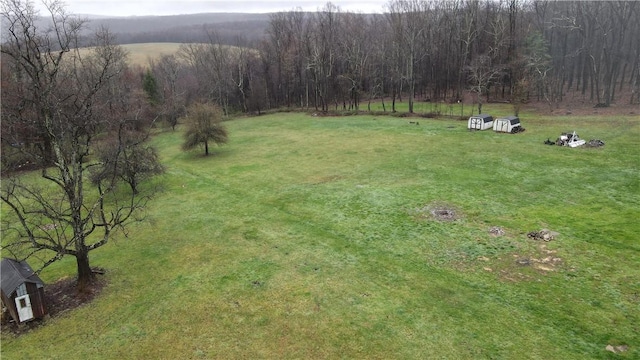 54 Old Dinnerbell Rd, Farmington, PA 15437 - view of yard