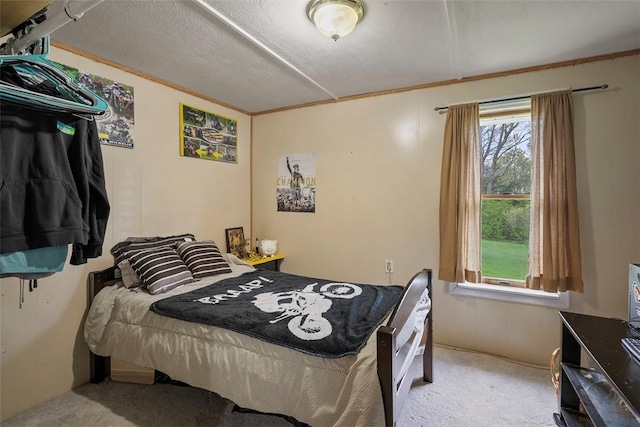114 Angel Ave, Fairview Twp But, PA 16050 - bedroom featuring carpet and multiple windows