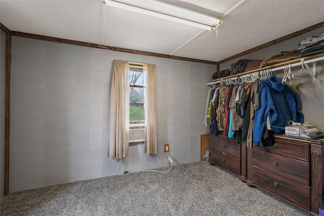 114 Angel Ave, Fairview Twp But, PA 16050 - walk in closet with carpet