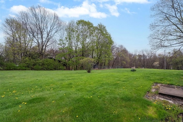 114 Angel Ave, Fairview Twp But, PA 16050 - view of grassy yard with a view of trees