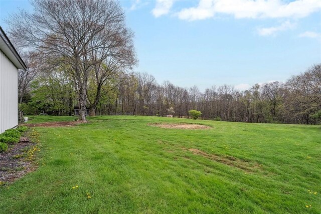 114 Angel Ave, Fairview Twp But, PA 16050 - view of grassy yard featuring a wooded view