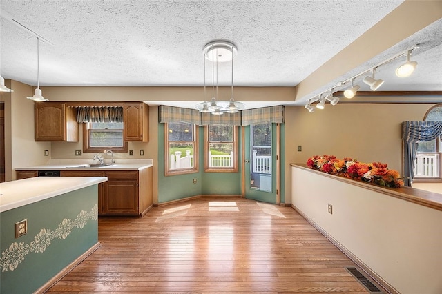 interior space with a textured ceiling, visible vents, rail lighting, a sink, and light wood finished floors