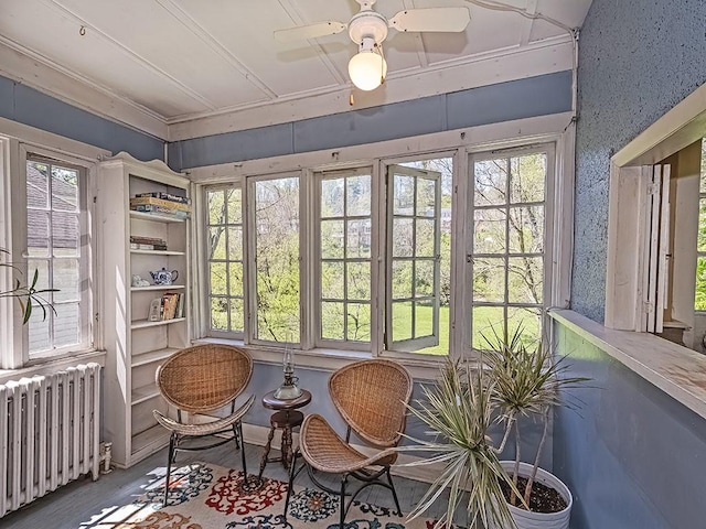 sunroom / solarium with radiator heating unit, ceiling fan, french doors, and wood finished floors