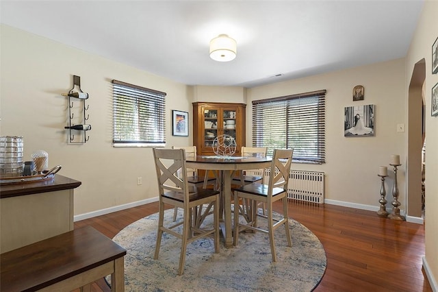 814 Clara St N, Versailles, PA 15137 - dining room featuring radiator heating unit, baseboards, wood finished floors, and a wealth of natural light