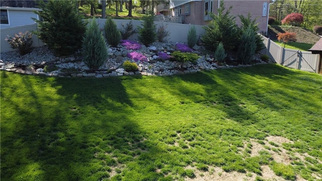 view of yard featuring a gate and a fenced backyard