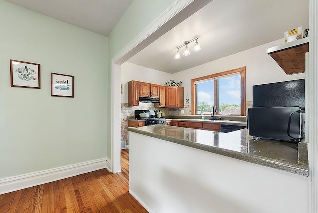 961 Deely St, Greenfield, PA 15217 - kitchen featuring decorative backsplash, brown cabinets, a sink, baseboards, and under cabinet range hood