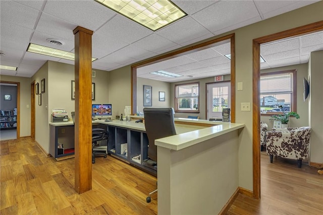 office space featuring visible vents, a healthy amount of sunlight, a paneled ceiling, and light wood finished floors