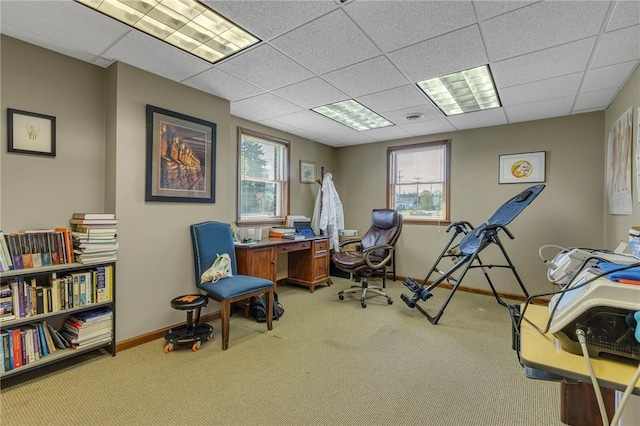 carpeted office space with baseboards, plenty of natural light, and a paneled ceiling