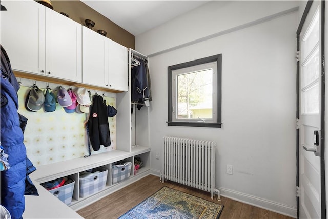 mudroom featuring baseboards, wood finished floors, and radiator