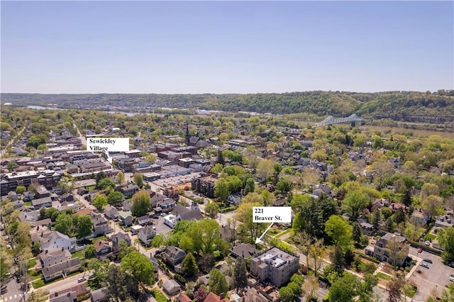 drone / aerial view