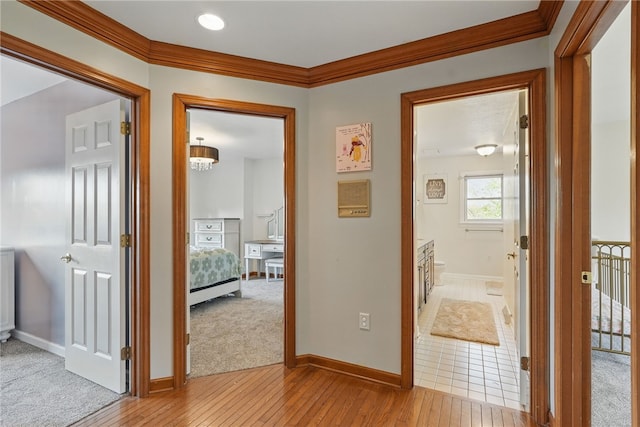 corridor featuring baseboards, light wood finished floors, and crown molding