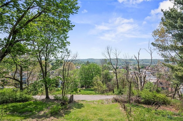 25 Scotia St, Ingram, PA 15205 - view of mountain feature