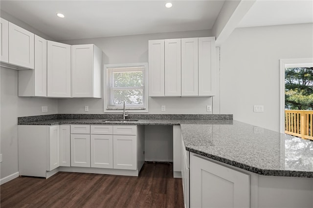 25 Scotia St, Ingram, PA 15205 - kitchen with a sink, a peninsula, dark wood-style floors, and a wealth of natural light