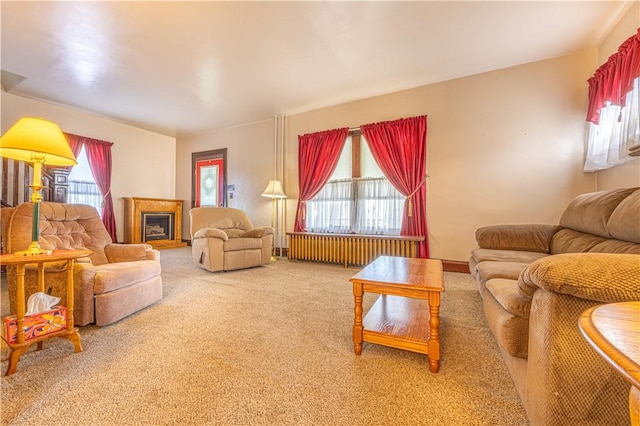 14 Cedar St, Masontown, PA 15461 - living area featuring carpet floors, radiator heating unit, and a fireplace