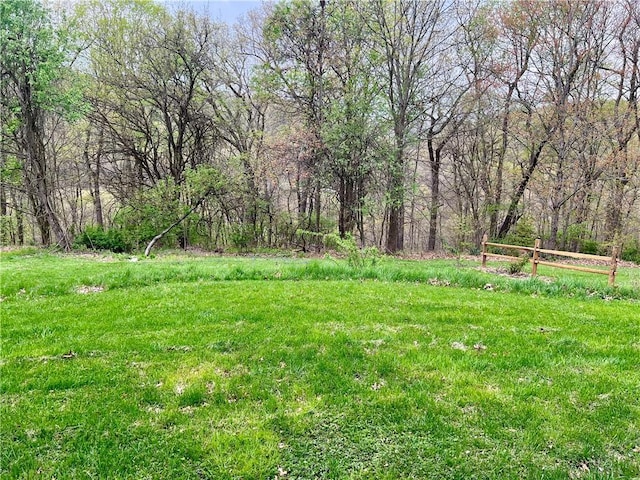 view of yard featuring a wooded view