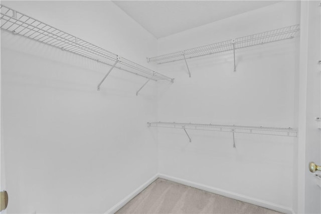 walk in closet featuring light colored carpet