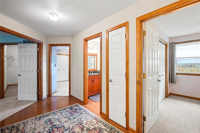 interior space featuring baseboards, a textured ceiling, and light colored carpet