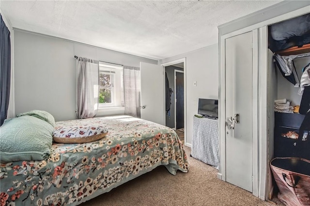 bedroom with a closet, carpet flooring, and a textured ceiling