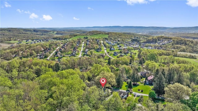 bird's eye view with a forest view