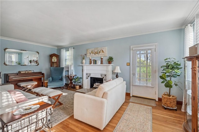 living room featuring light wood-style floors, a healthy amount of sunlight, and a fireplace
