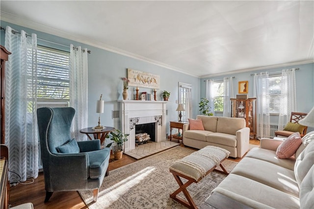 living area featuring crown molding, wood finished floors, and a fireplace