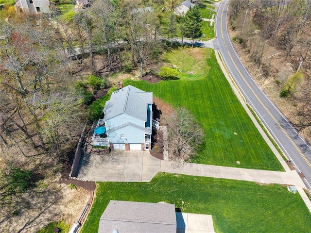 bird's eye view