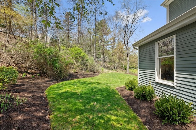 view of yard