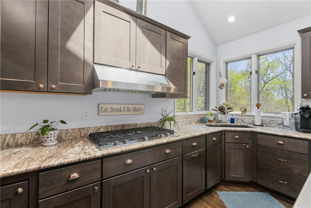 kitchen with under cabinet range hood, dark brown cabinets, a sink, and stainless steel gas stovetop