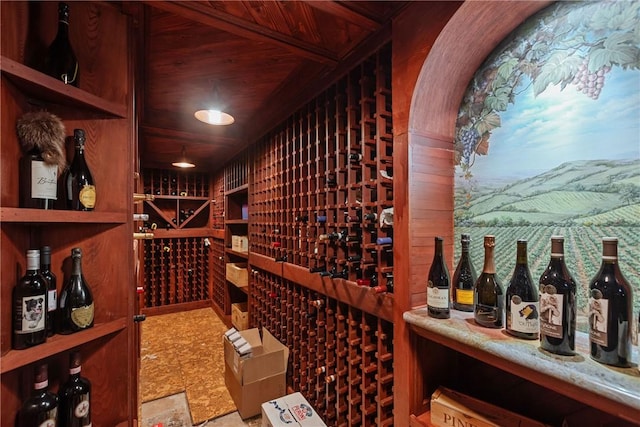 view of wine cellar